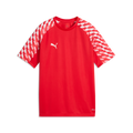Puma Youth TeamLiga 26 Jersey - Red