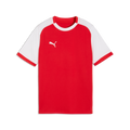 Puma Youth TeamLiga 26 Matchday Jersey - Red