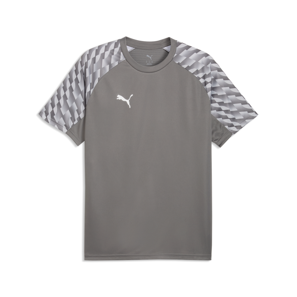 Puma TeamLiga 26 Jersey - Gray