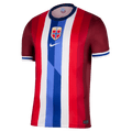 Nike Norway 2024 Home Jersey