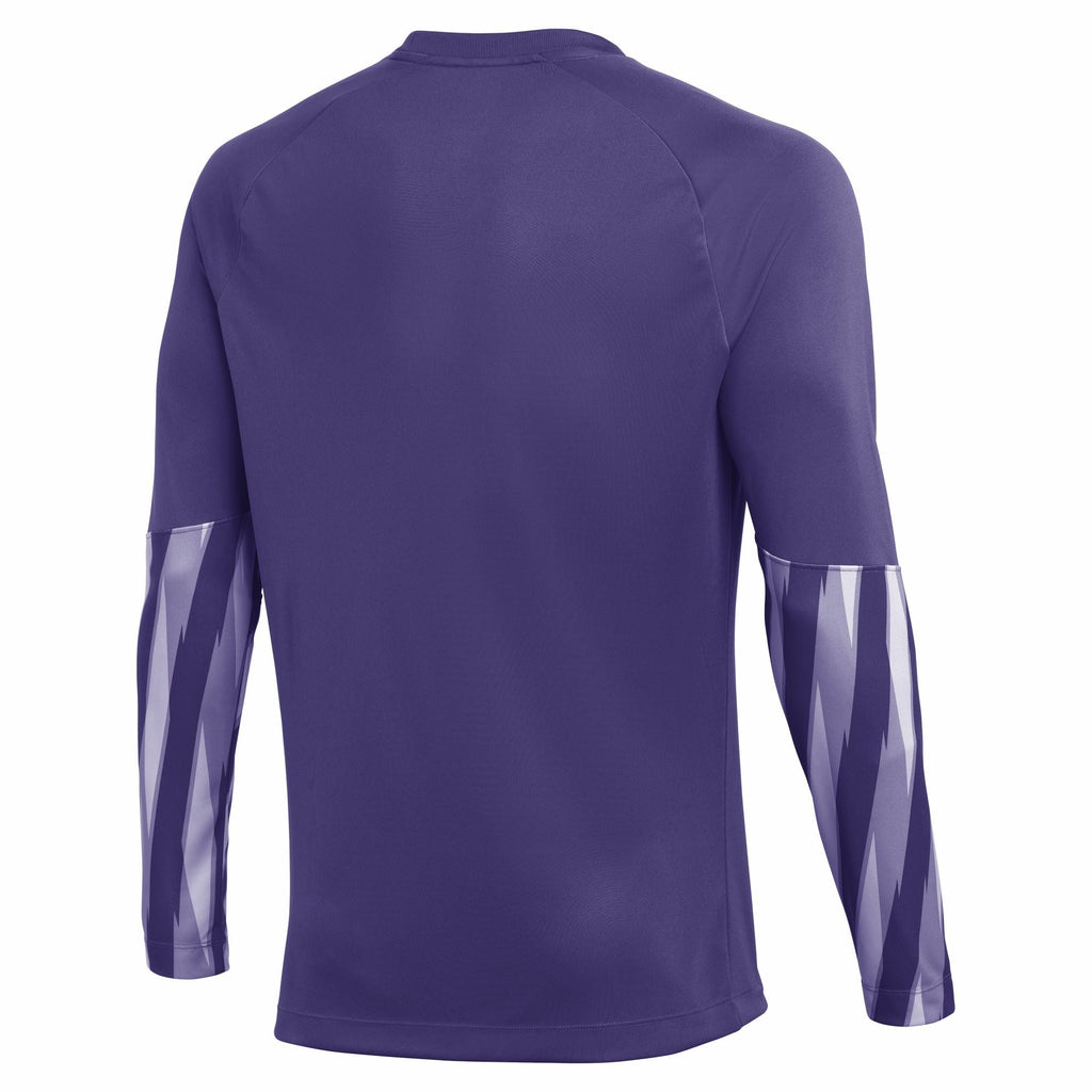 Nike Dri-Fit Park V Gk L/S Jersey - Wild Grape