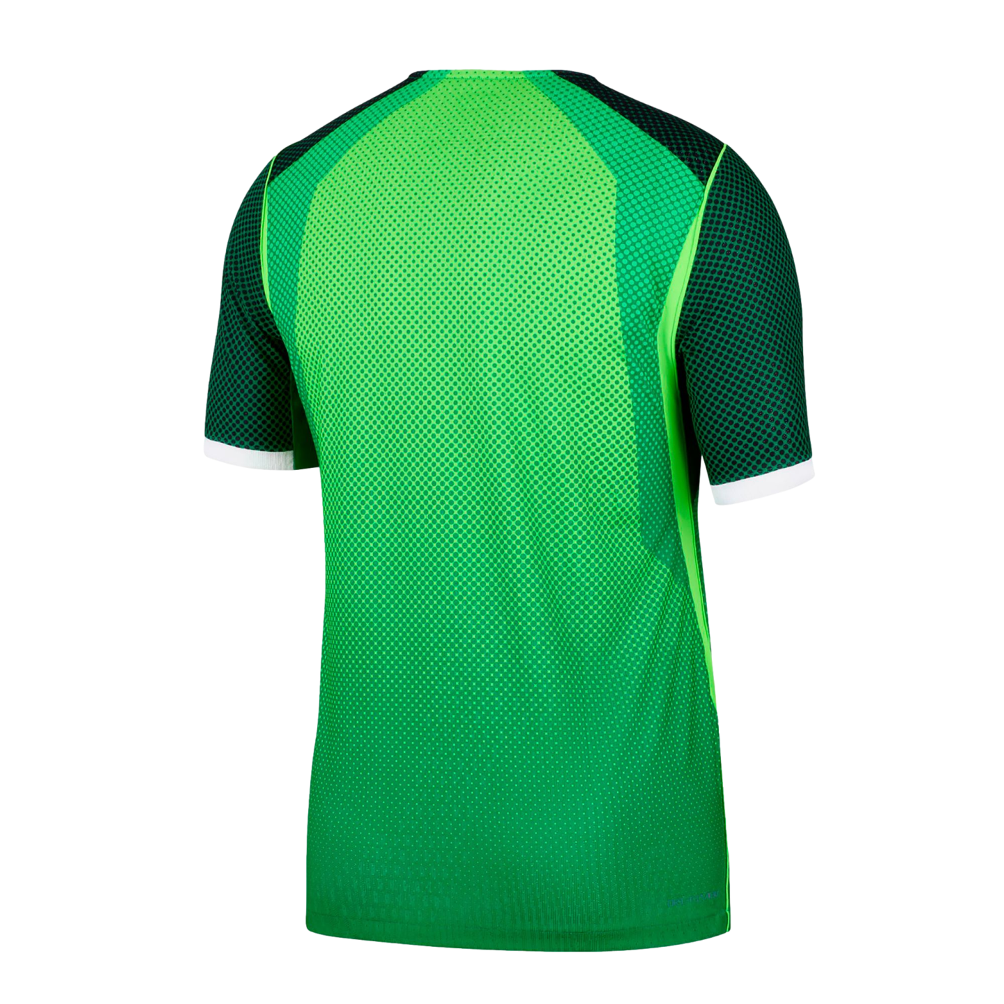 Nike Nigeria 2026 Authentic Home Jersey