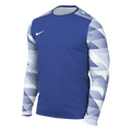 Nike Dri-FIT Park IV GK Jersey - Royal