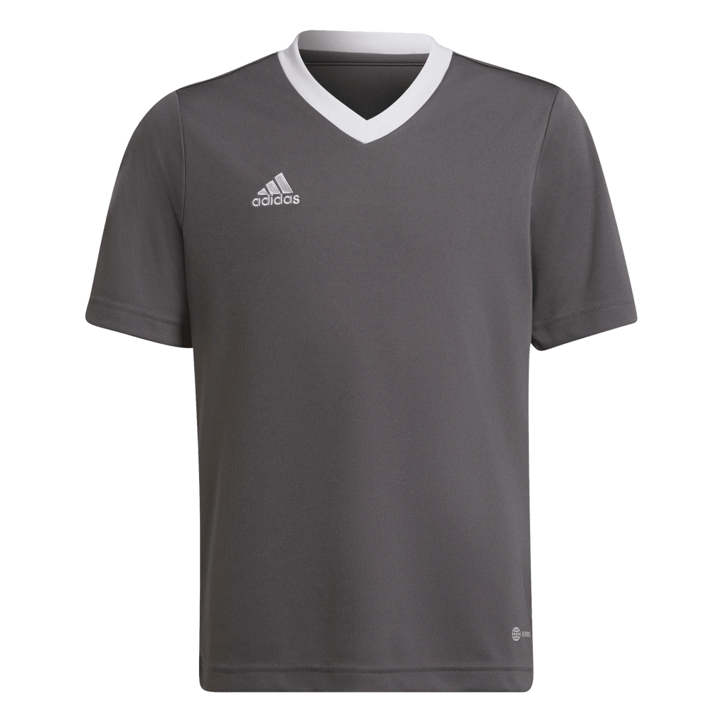 adidas Youth Entrada 22 Jersey - Grey