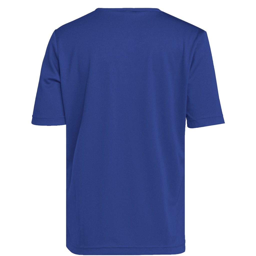adidas Youth Entrada 22 Jersey - Royal