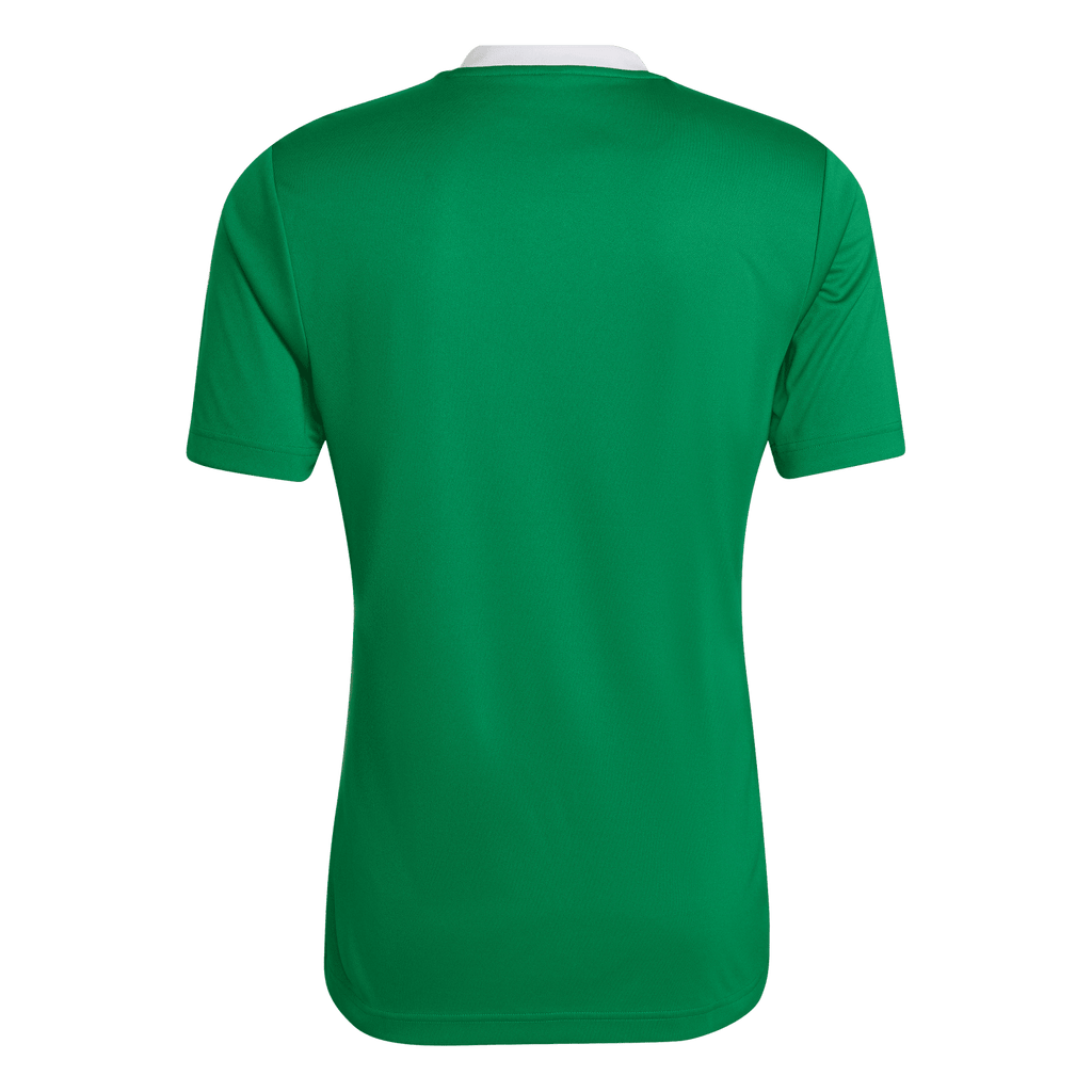 adidas Entrada 22 Jersey - Green