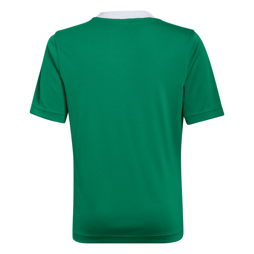 adidas Youth Entrada 22 Jersey - Green