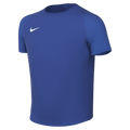 Nike Youth Dri-Fit Academy II Jersey - Game Royal