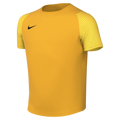 Nike Youth Dri-Fit Academy II Jersey - University Gold