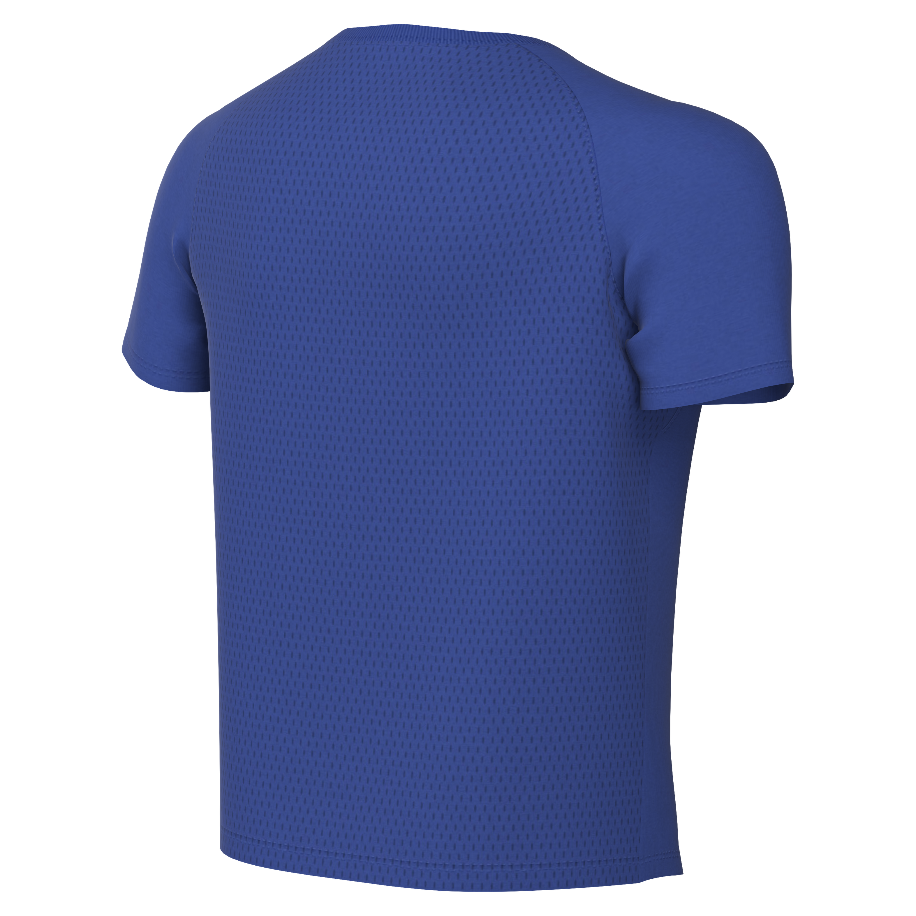 Nike Youth Dri-Fit Park VIII Jersey - Game Royal