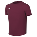 Nike Youth Dri-Fit Park VIII Jersey - Team Maroon