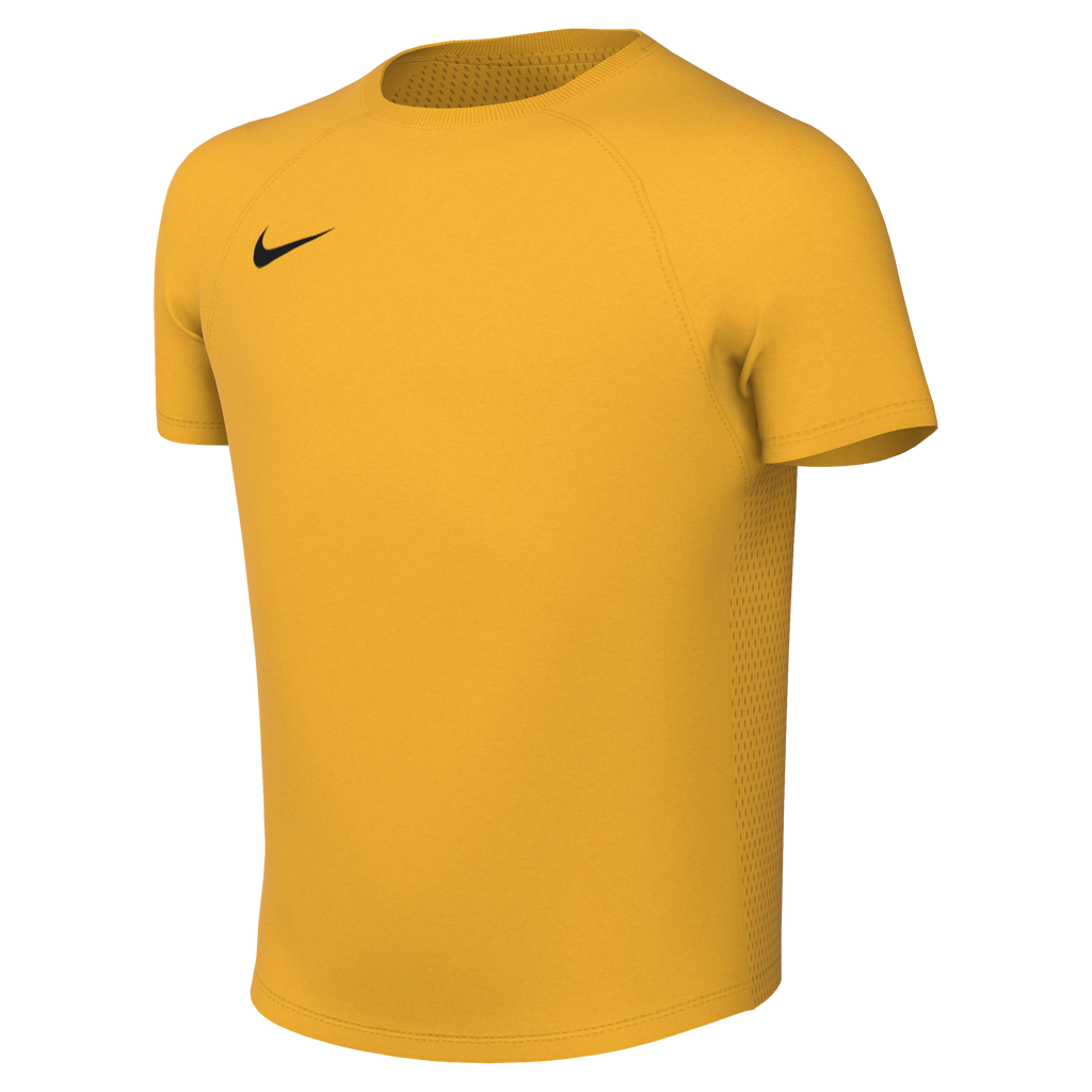 Nike Youth Dri-Fit Park VIII Jersey - University Gold