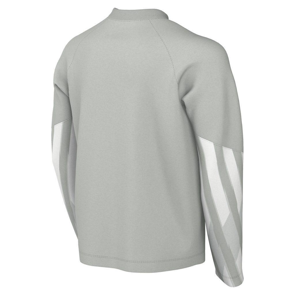 Nike Youth Dri-Fit Park V Gk L/S Jersey - Grey Fog