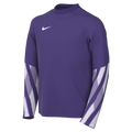 Nike Youth Dri-Fit Park V Gk L/S Jersey - Wild Grape