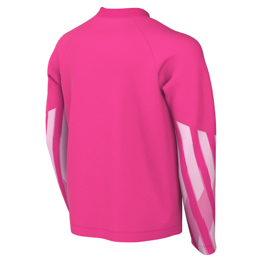 Nike Youth Dri-Fit Park V Gk L/S Jersey - Hyper Pink