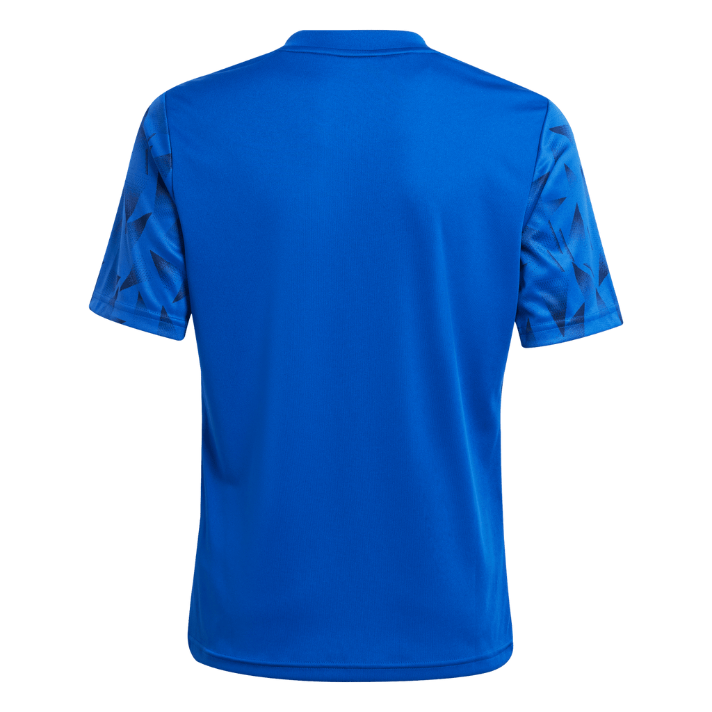 adidas Youth Team Icon 25 Jersey - Royal