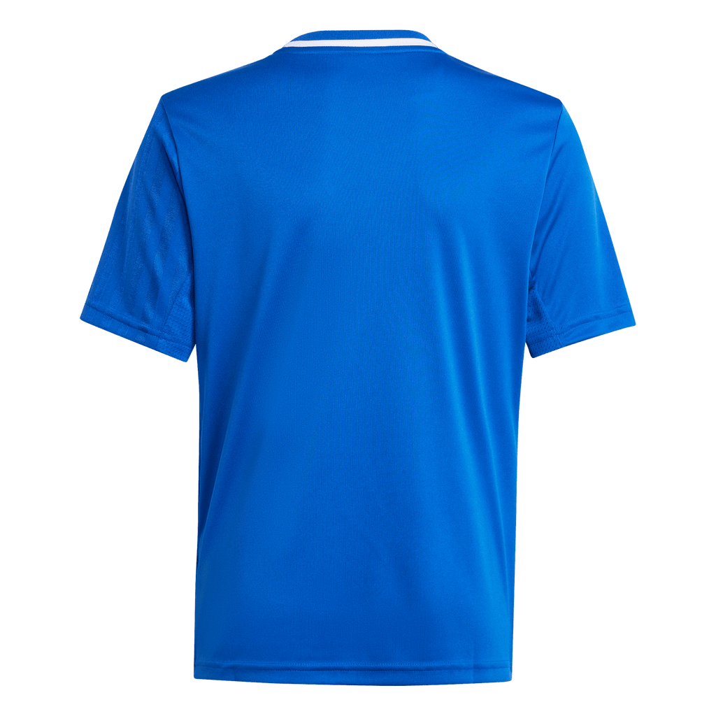 adidas Youth Campeon 25 Jersey - Royal