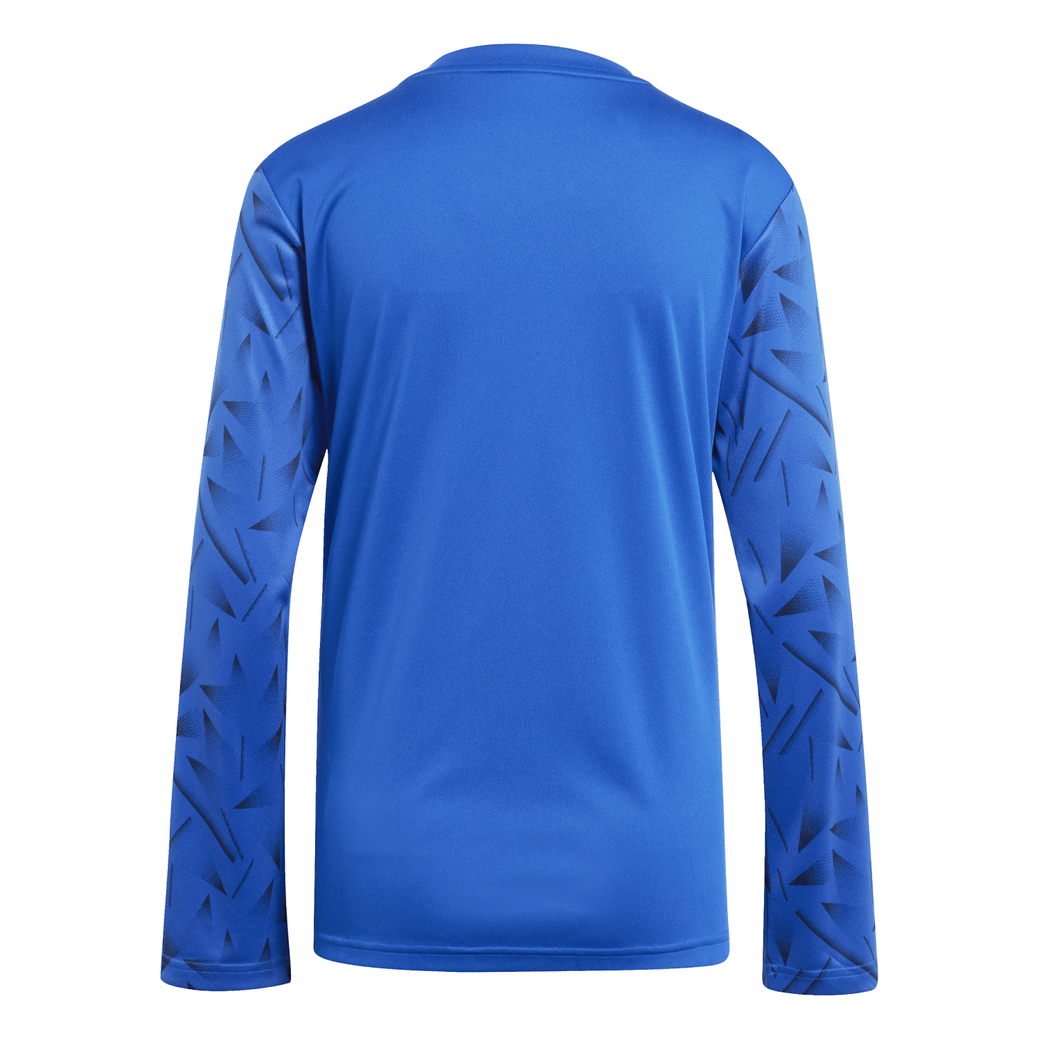 adidas Women's Team Icon 25 Long Sleeve Jersey - Royal