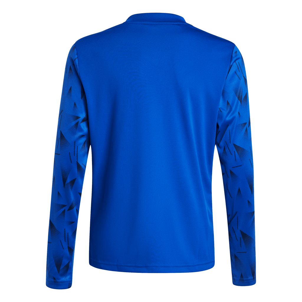 adidas Youth Team Icon 25 Long Sleeve Jersey - Royal