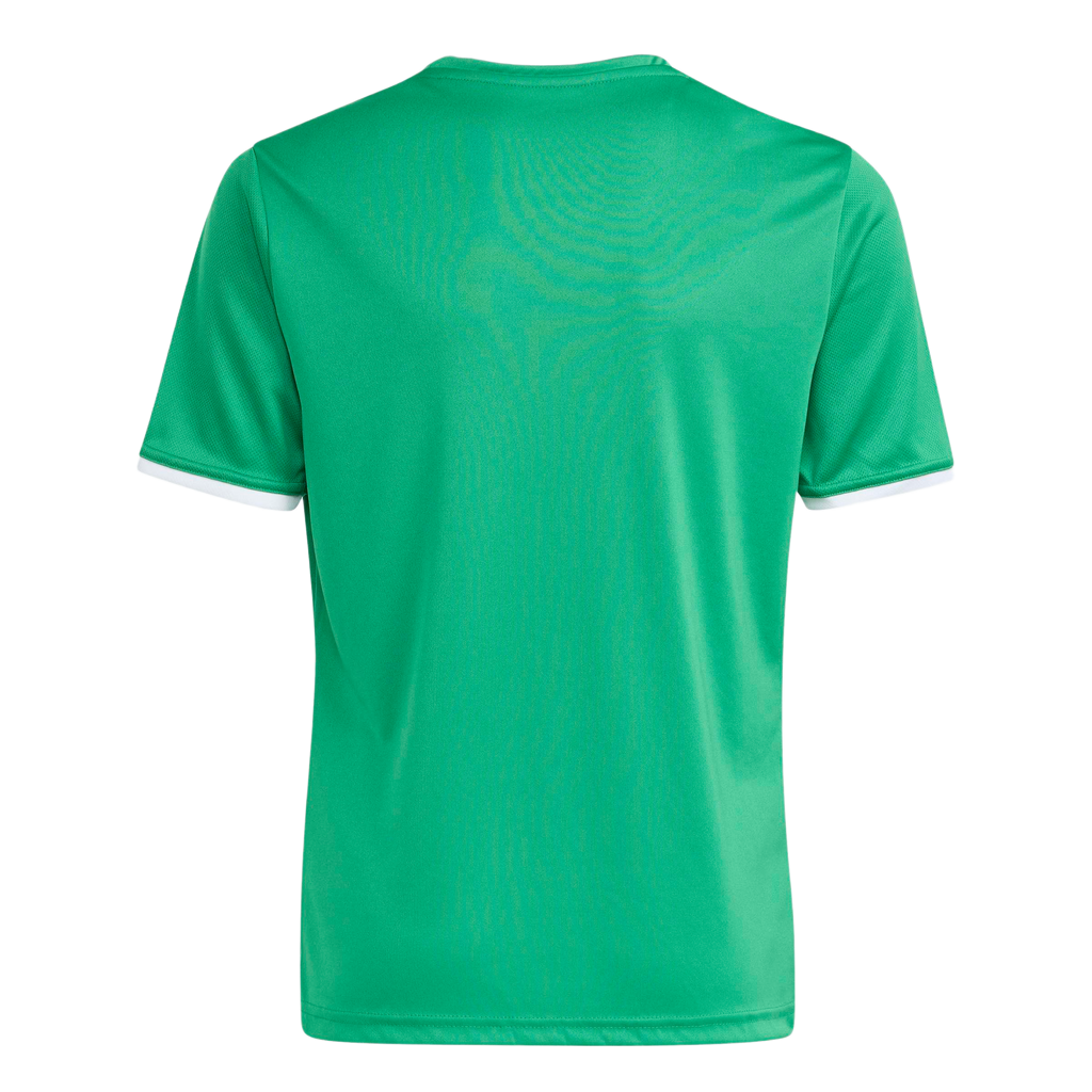 adidas Youth Entrada 26 Jersey - Green