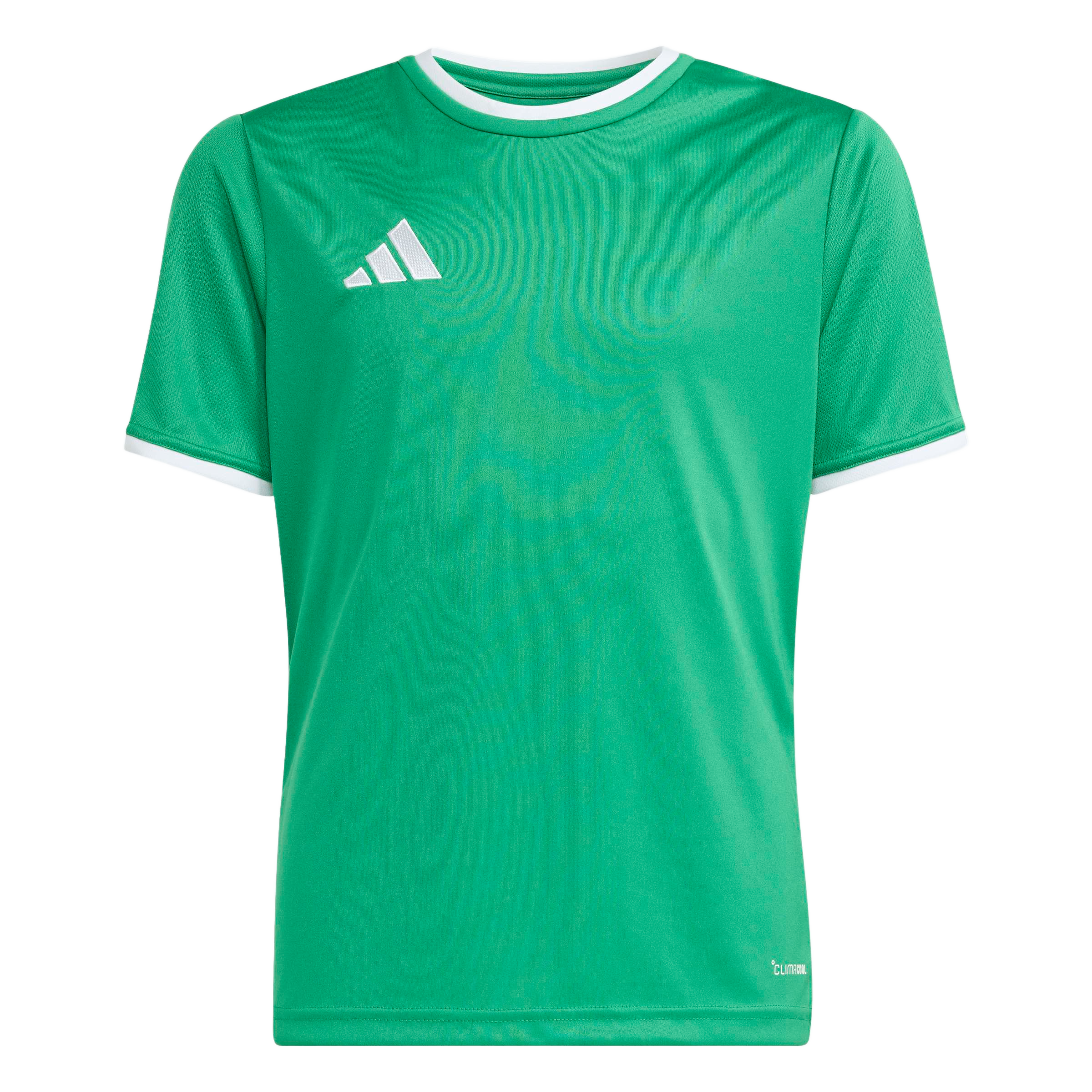 adidas Youth Entrada 26 Jersey - Green