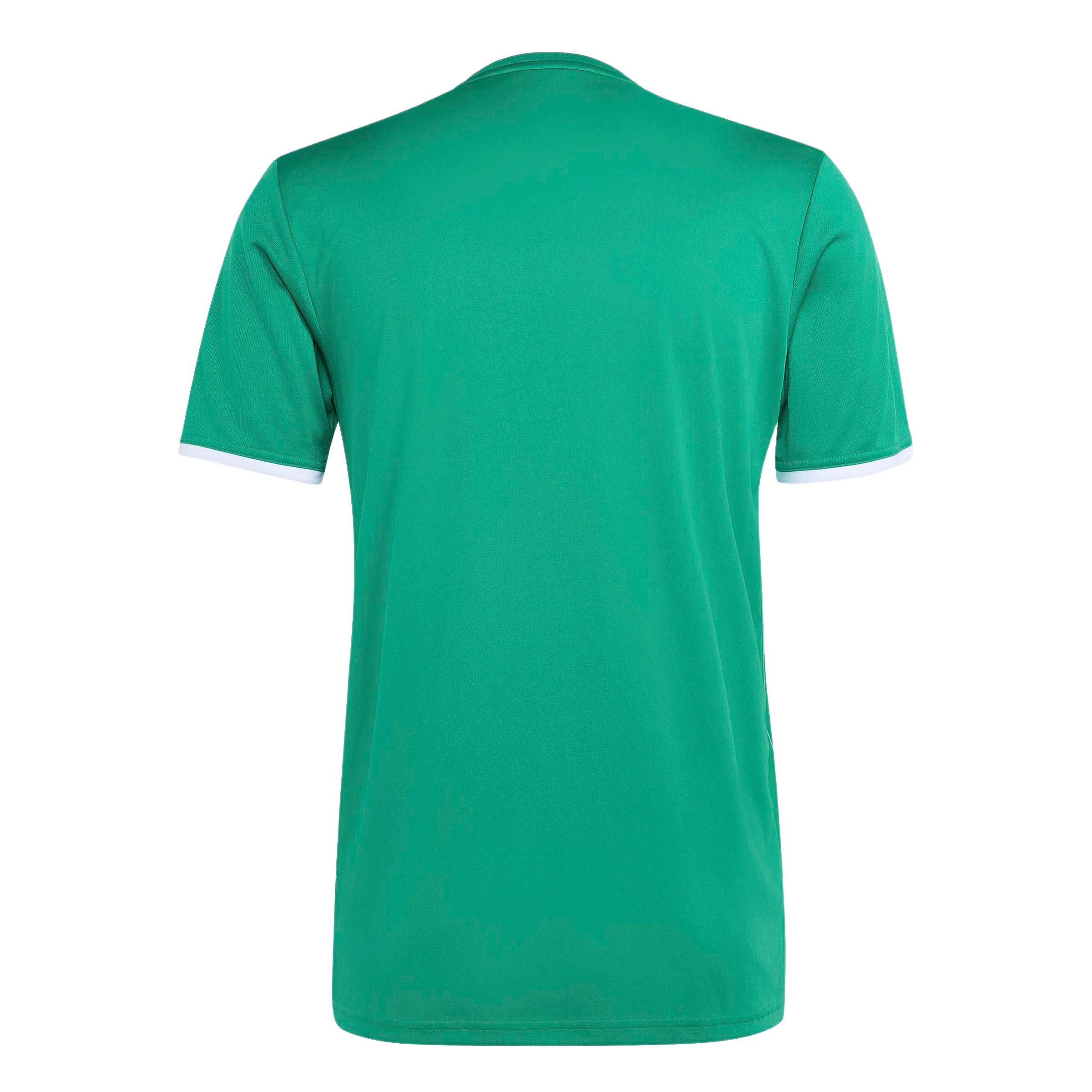 adidas Entrada 26 Graphic Jersey - Green