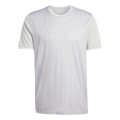adidas Entrada 26 Graphic Jersey - Light Grey