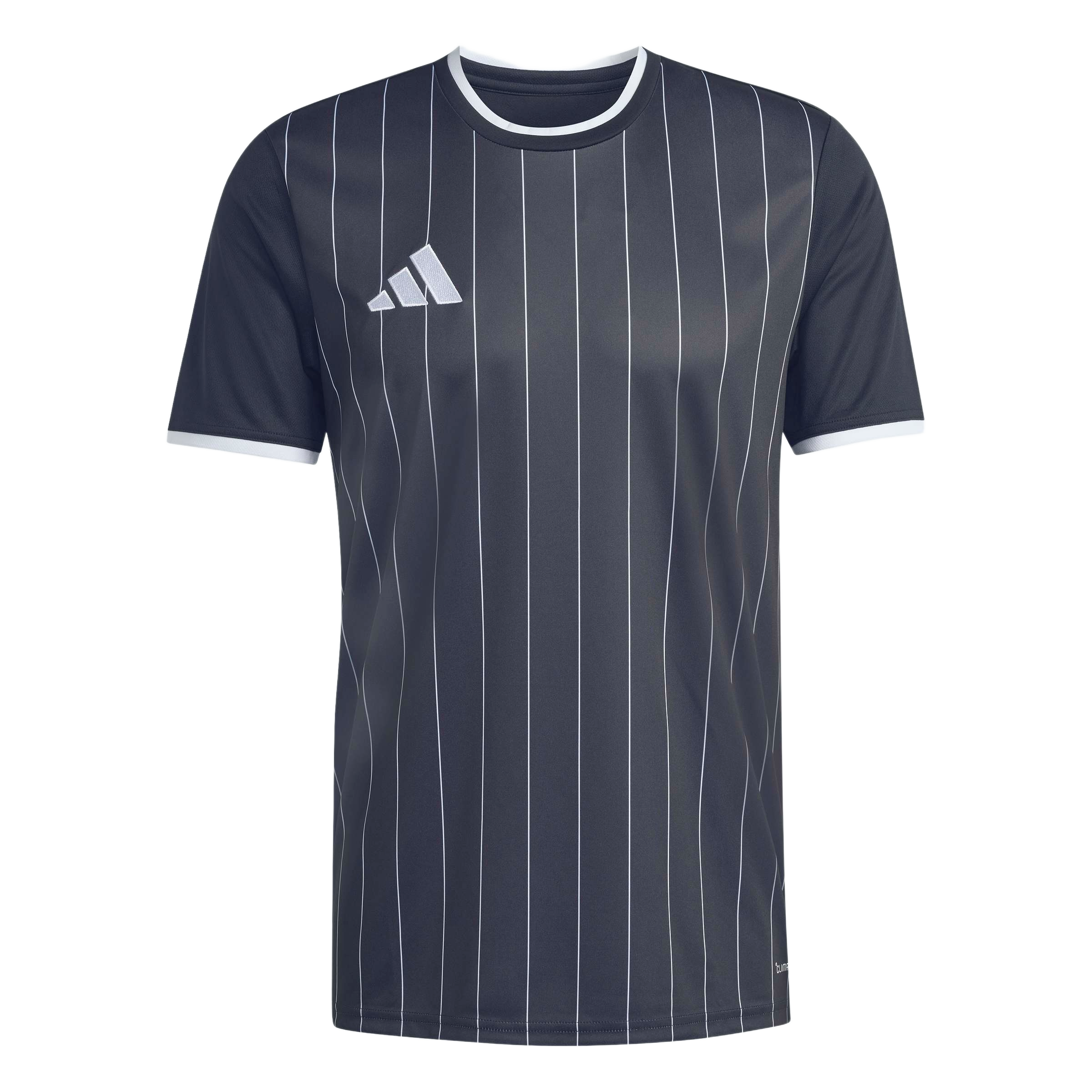 adidas Entrada 26 Graphic Jersey - Black