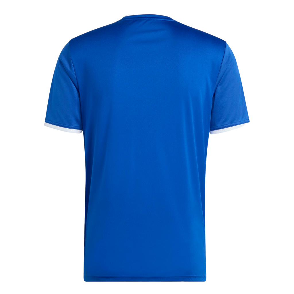 adidas Entrada 26 Graphic Jersey - Royal Blue