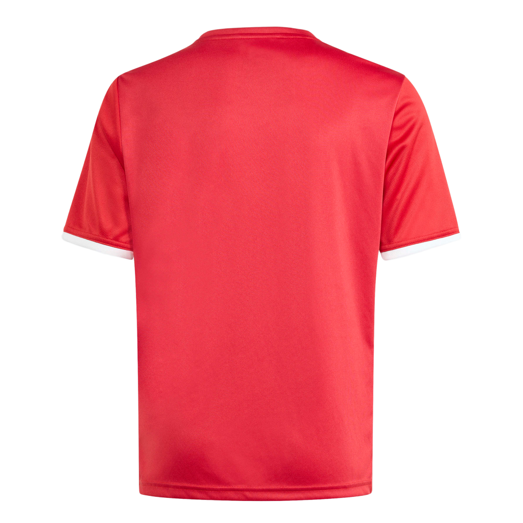 adidas Youth Entrada 26 Graphic Jersey - Red