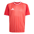 adidas Youth Entrada 26 Graphic Jersey - Red