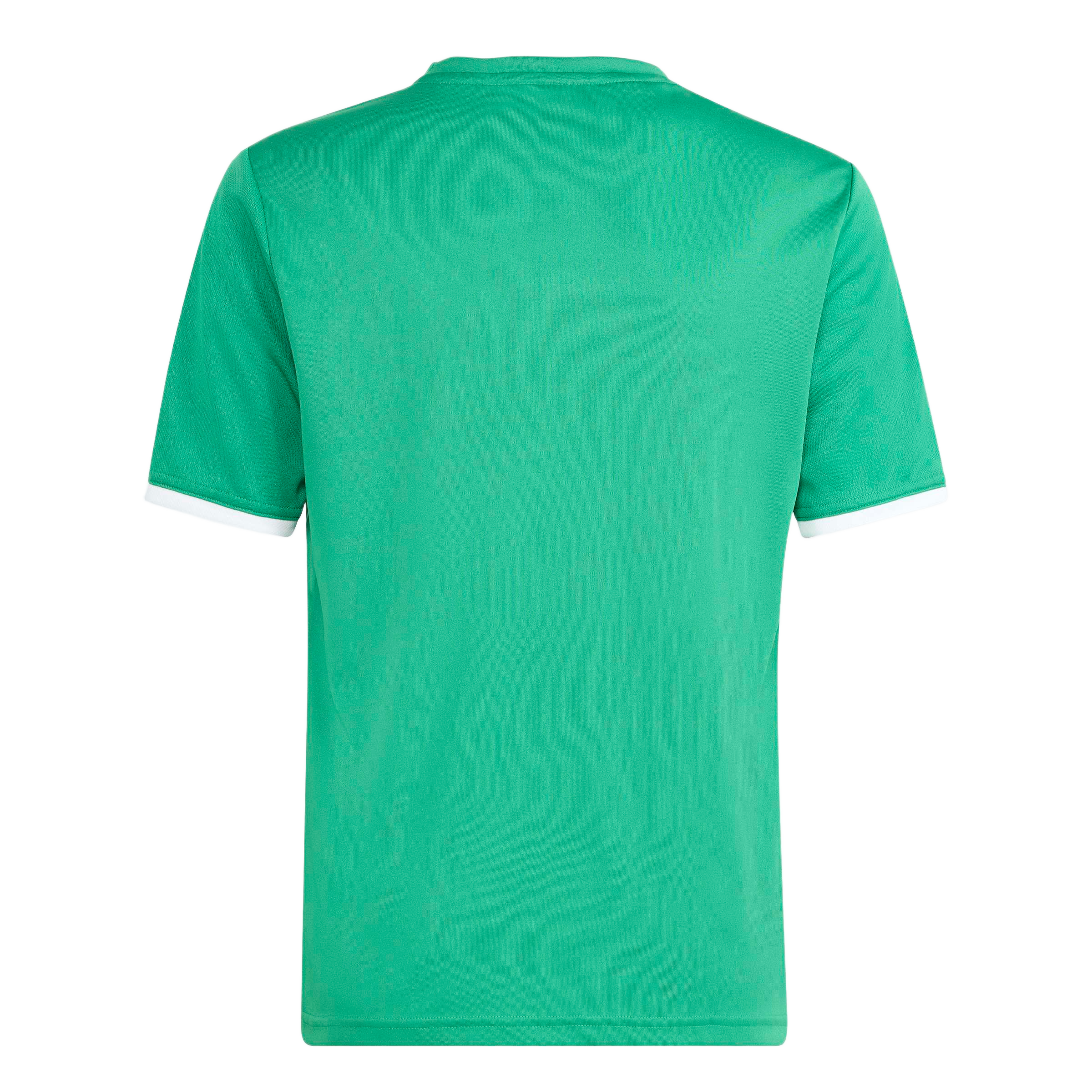 adidas Youth Entrada 26 Graphic Jersey - Green