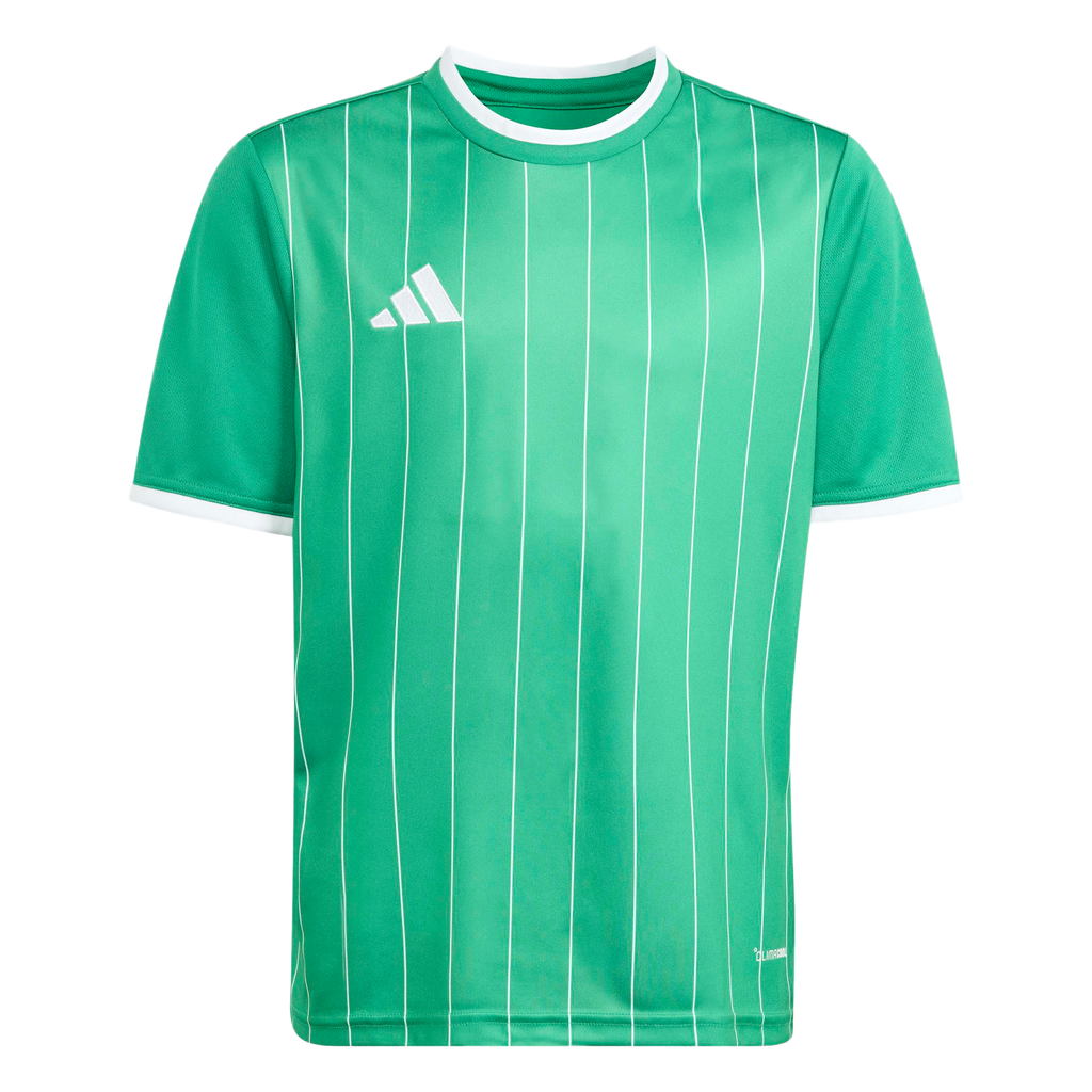 adidas Youth Entrada 26 Graphic Jersey - Green