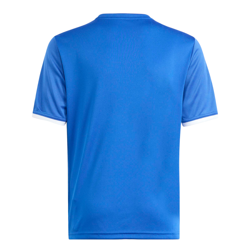 adidas Youth Entrada 26 Graphic Jersey - Royal Blue