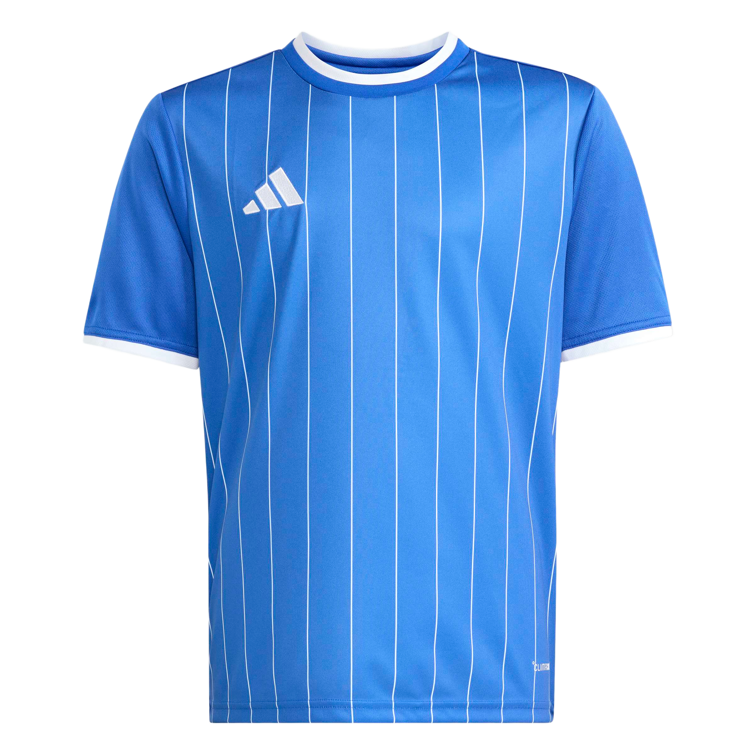 adidas Youth Entrada 26 Graphic Jersey - Royal Blue