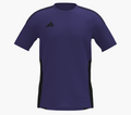 Placer- GK Jersey WOMENS- Purple