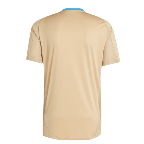 Adidas Argentina Training Jersey