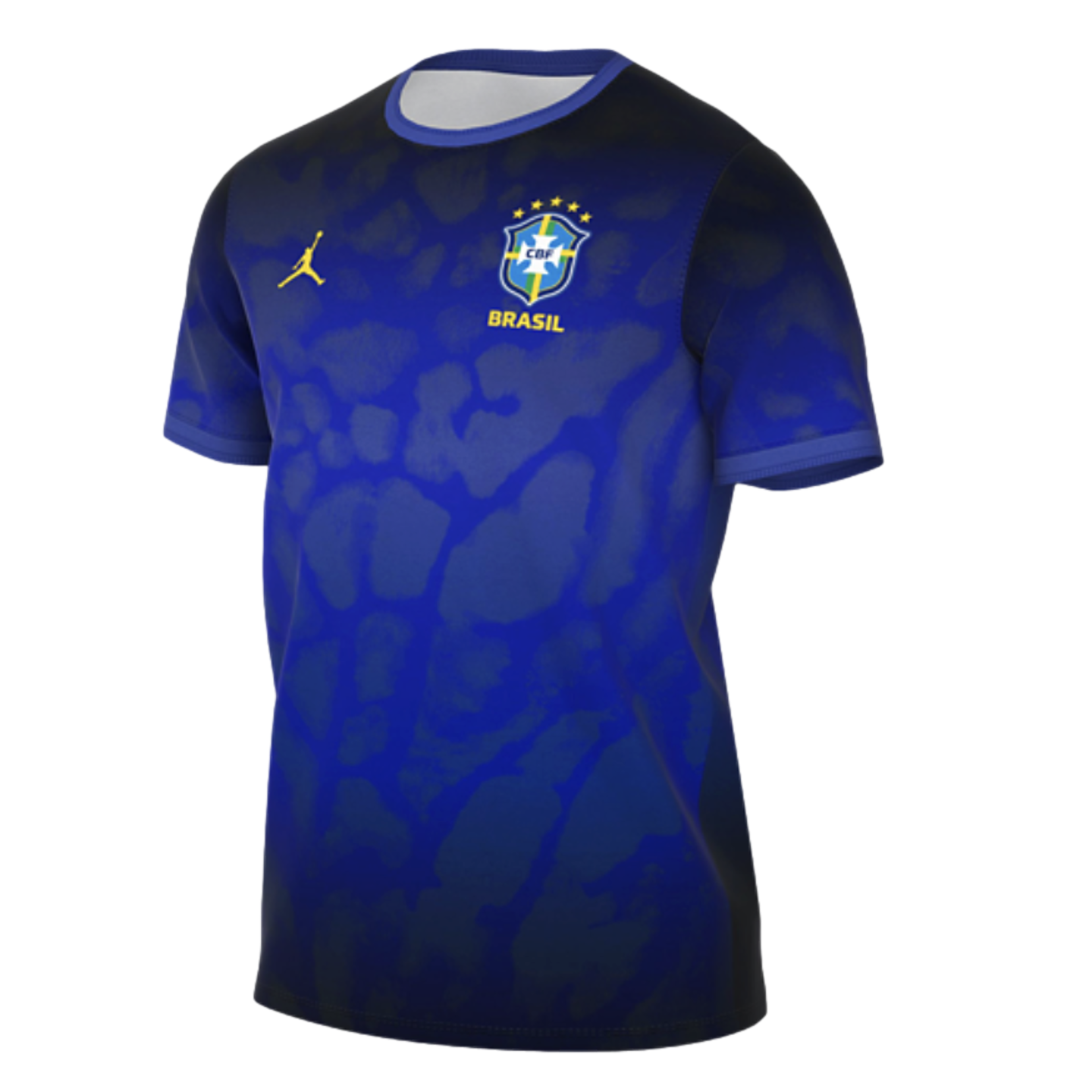 Nike Brazil Academy Pro Pre-Match Jersey