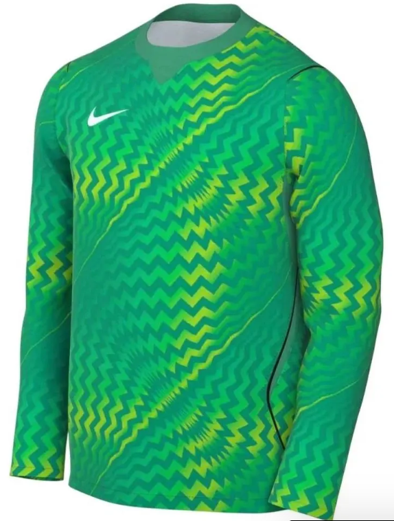 Nike Dri-Fit Gardien VI Gk L/S Jersey - Stadium Green