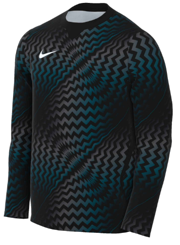Nike Youth Dri-Fit Gardien VI Gk L/S Jersey - Black