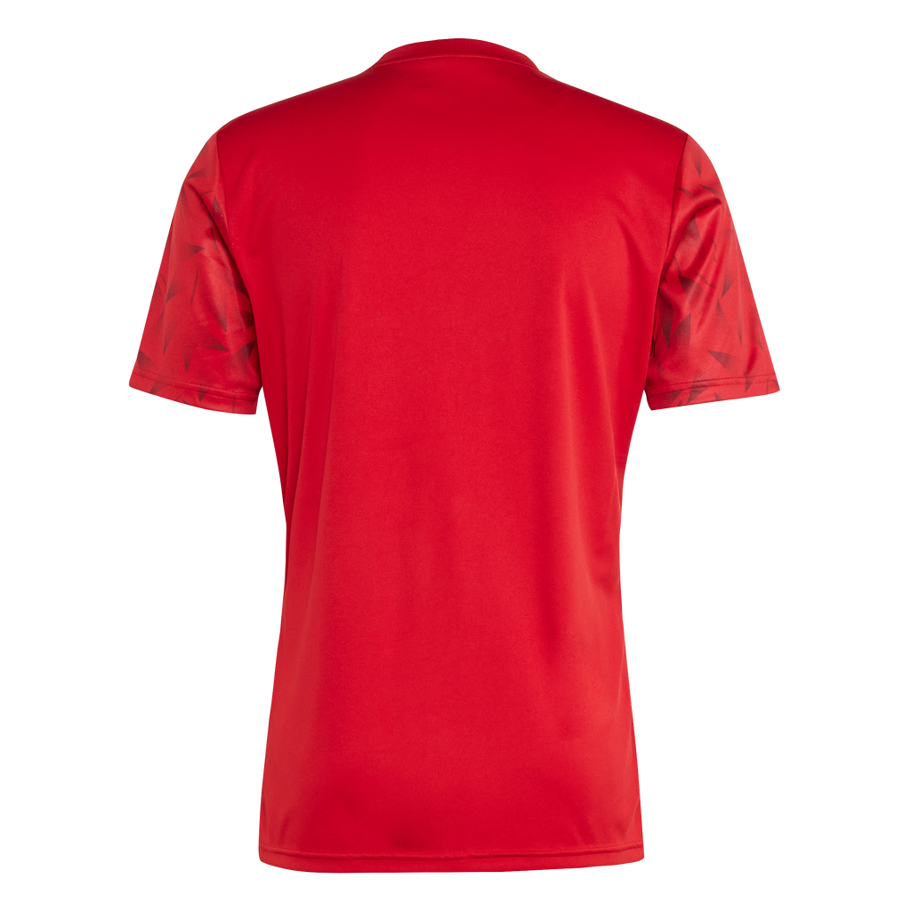 adidas Youth Team Icon 25 Jersey - Red
