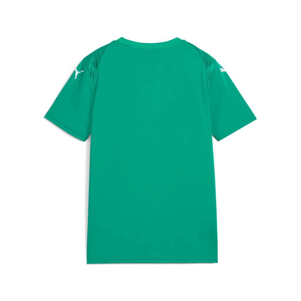 Puma Youth Teamultimate Jersey - Green