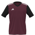 adidas Youth Entrada 22 Custom Jersey Warminster - Maroon
