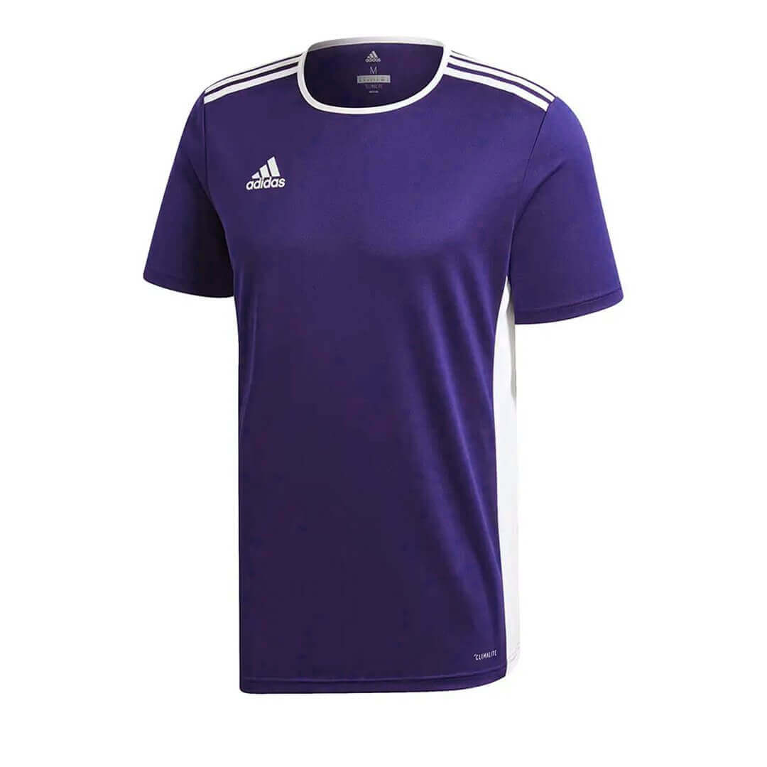 Adidas Entrada 18 Youth Jersey - Purple