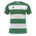 adidas Competition 25 Custom Jersey Dublin United FC - Green/Wht