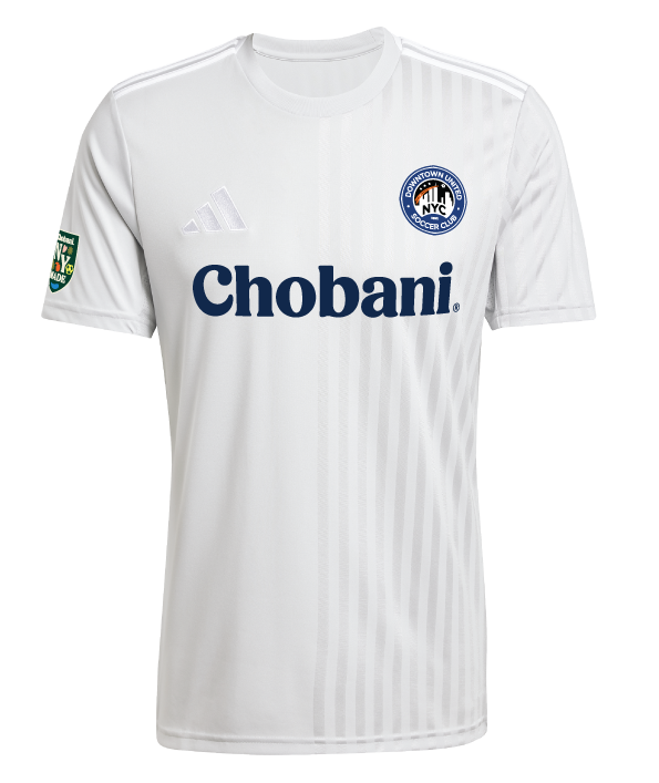 adidas Campeon 25 Jersey DUSC - Grey